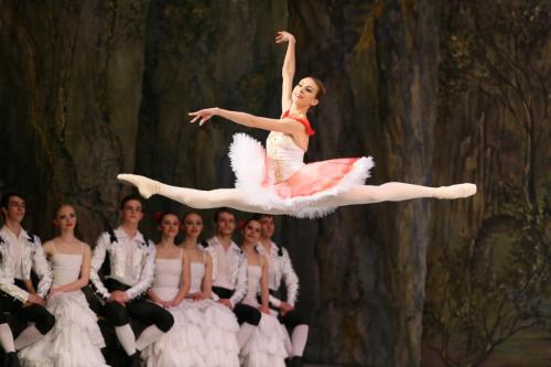 balet_DON_KIKHOT_in_Ukrainianbalet_KRAWS_1030